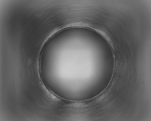 X0000073870998200608241130