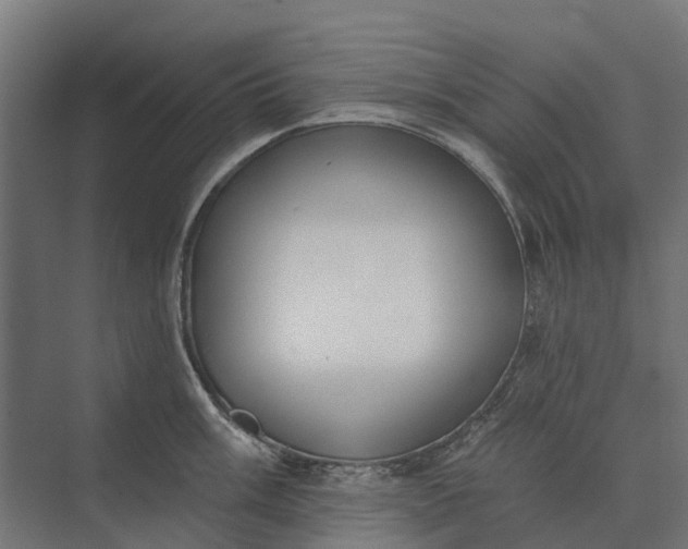 X0000073871003200608241130