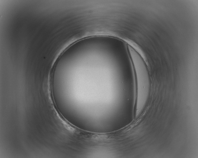 X0000073871006200608241130