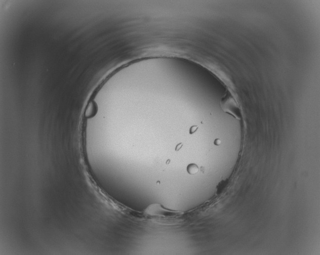 X0000073871008200608241129