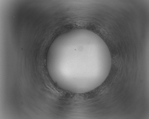 X0000073871009200608241129