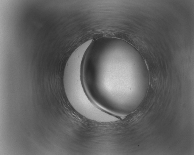 X0000073871010200608241129