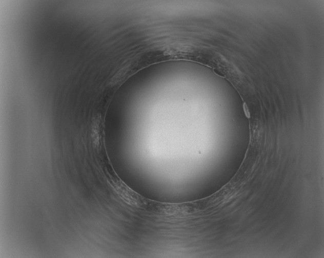 X0000073871012200608241129