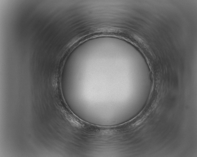 X0000073871017200608241129