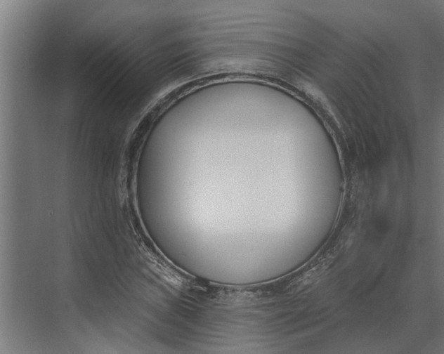 X0000073871019200608241129