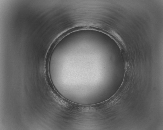 X0000073871020200608241129