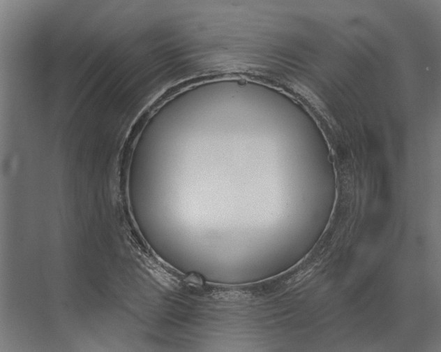 X0000073871023200608241129