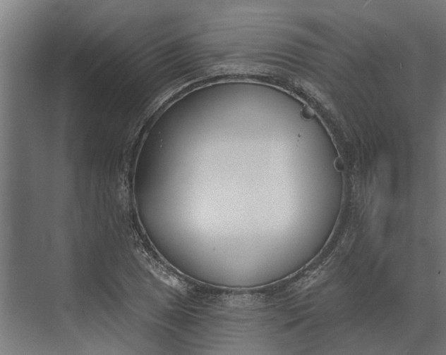 X0000073871025200608241129