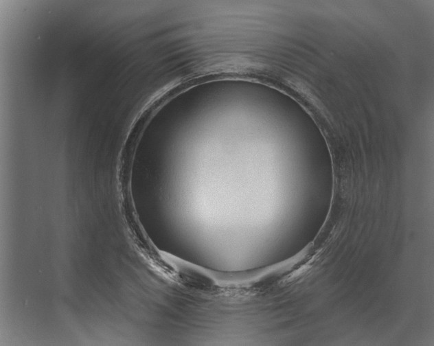 X0000073871026200608241129