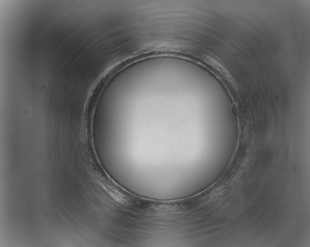 X0000073871027200608241129