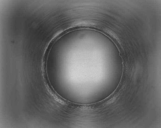 X0000073871029200608241129