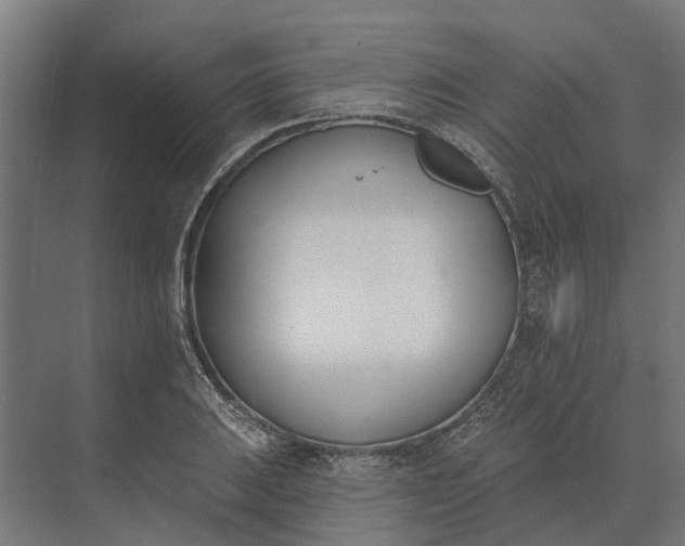 X0000073871031200608241129