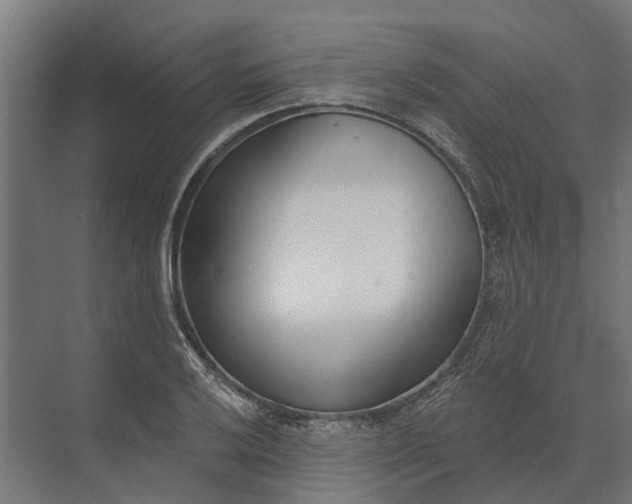 X0000073871032200608241129