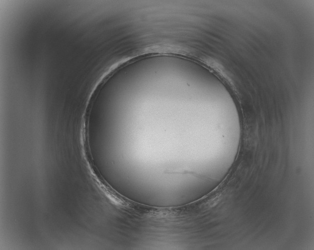 X0000073871040200608241129