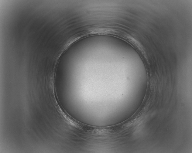 X0000073871041200608241129