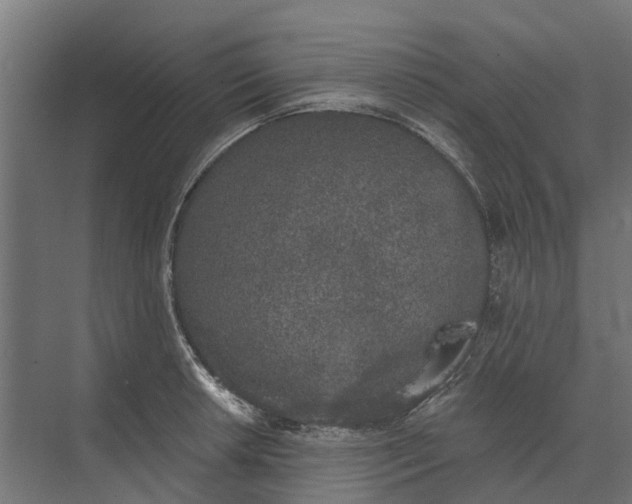 X0000073871042200608241129