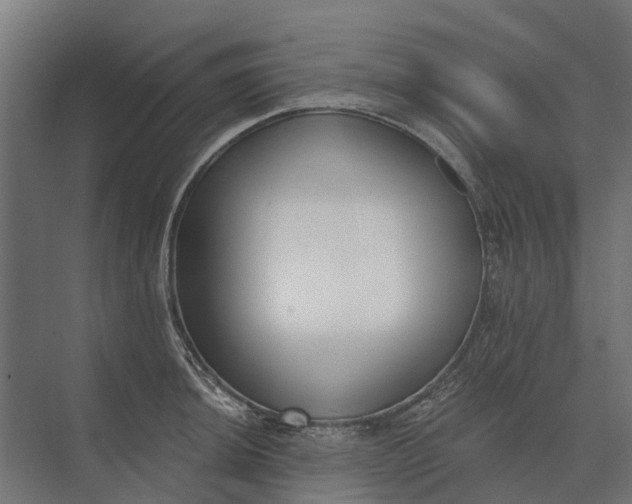 X0000073871044200608241129