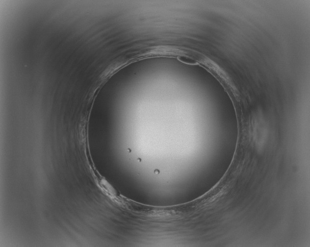 X0000073871049200608241129