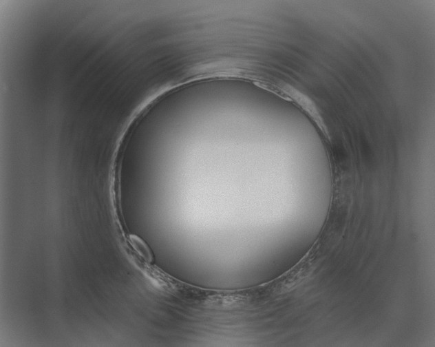 X0000073871051200608241129