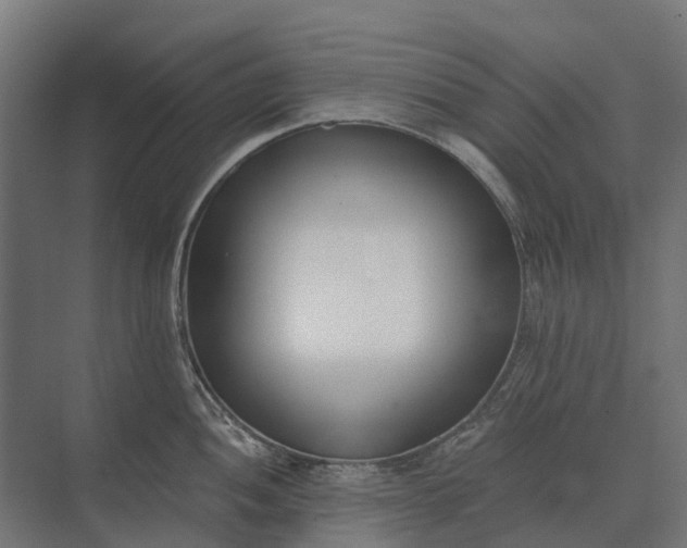 X0000073871052200608241129