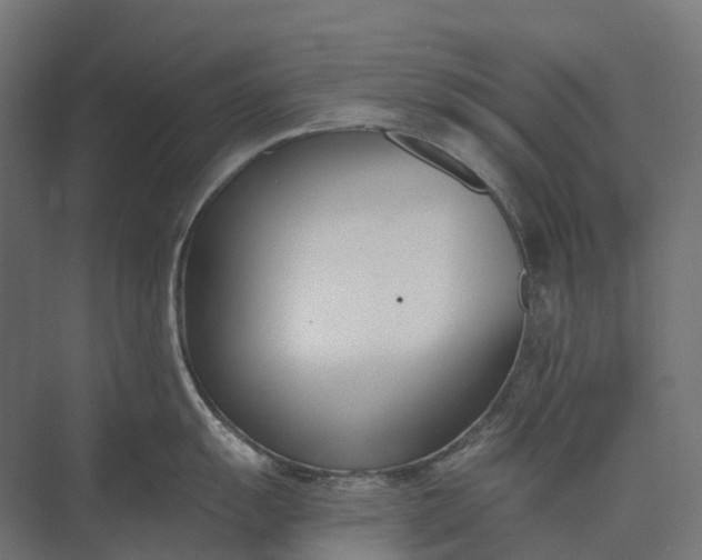 X0000073871055200608241129