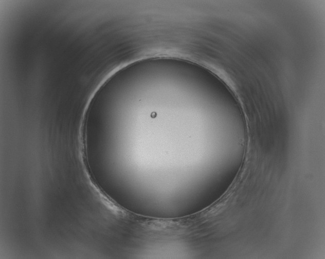 X0000073871056200608241129