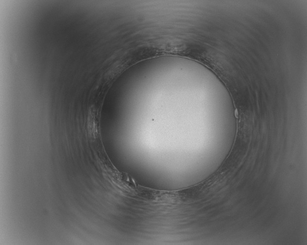 X0000073871058200608241129