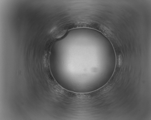 X0000073871059200608241129