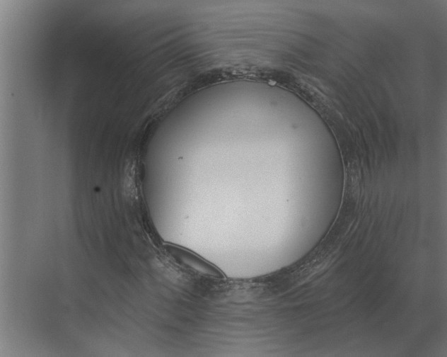 X0000073871060200608241129