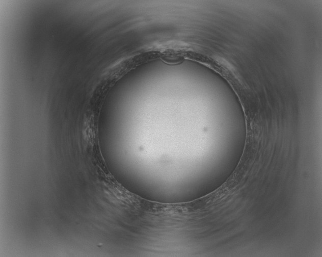 X0000073871063200608241129