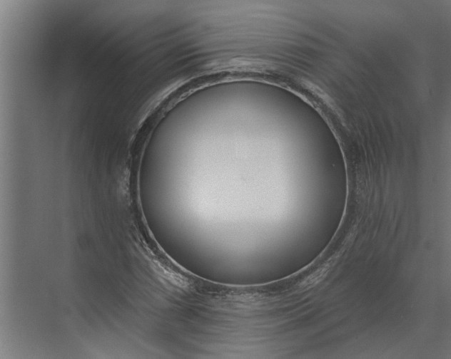 X0000073871066200608241129