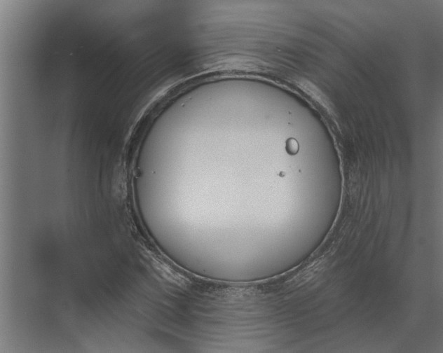 X0000073871067200608241129