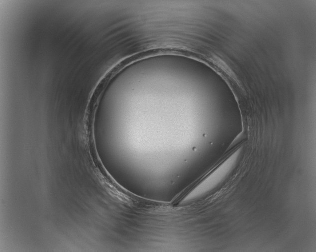 X0000073871068200608241128