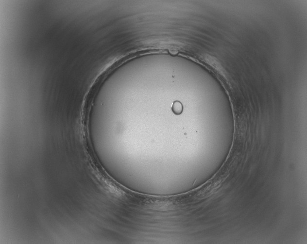 X0000073871071200608241128