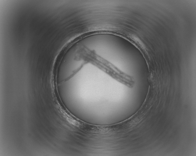 X0000073871072200608241128