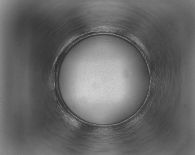 X0000073871075200608241128