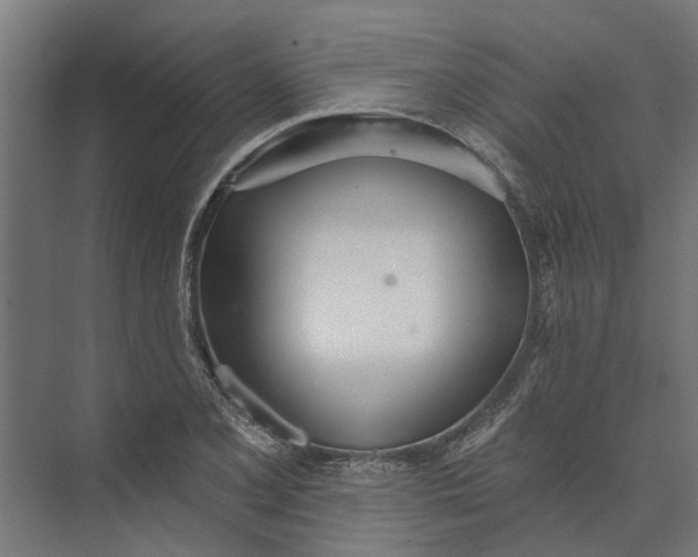 X0000073871077200608241128