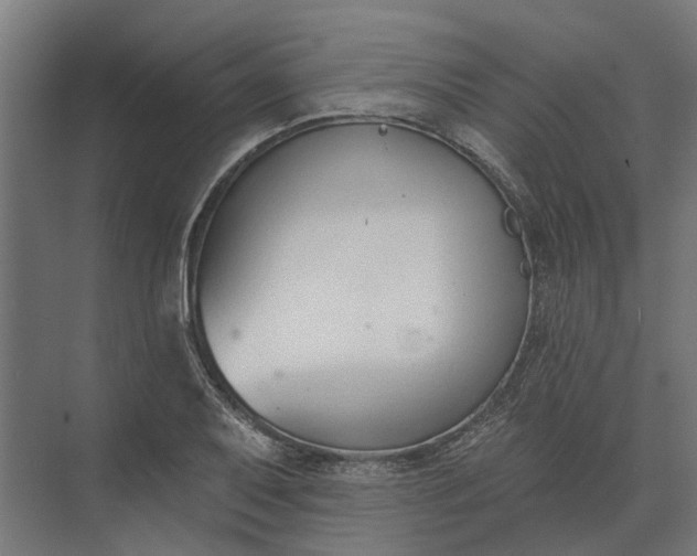 X0000073871079200608241128