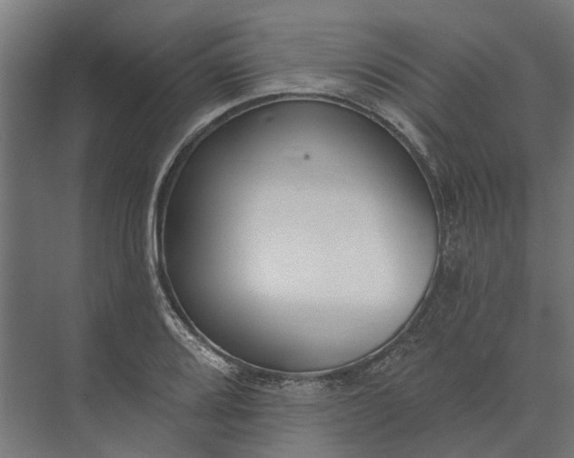 X0000073871080200608241128