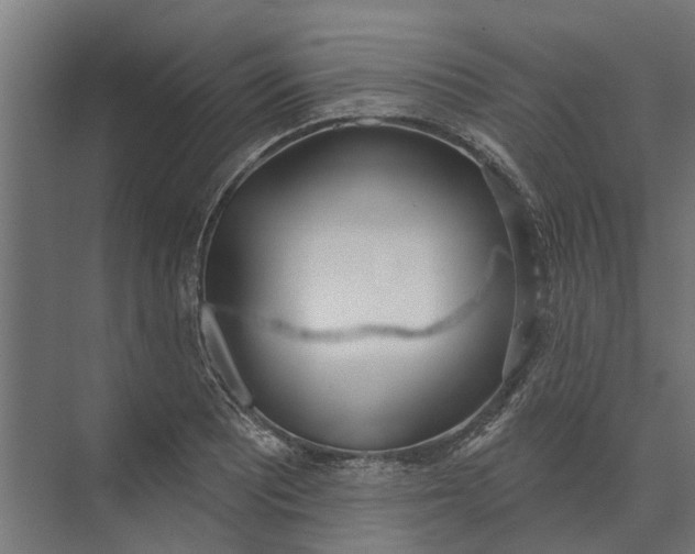 X0000073871081200608241128