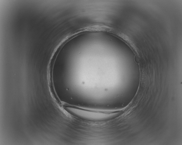 X0000073871083200608241128