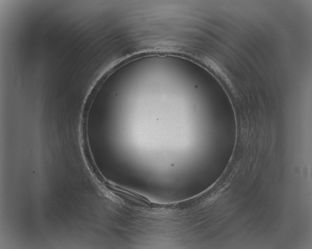 X0000073871085200608241128