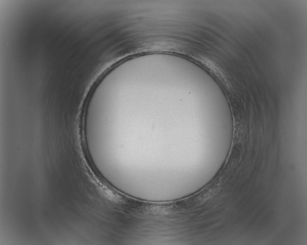 X0000073871086200608241128