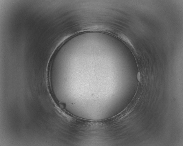 X0000073871087200608241128