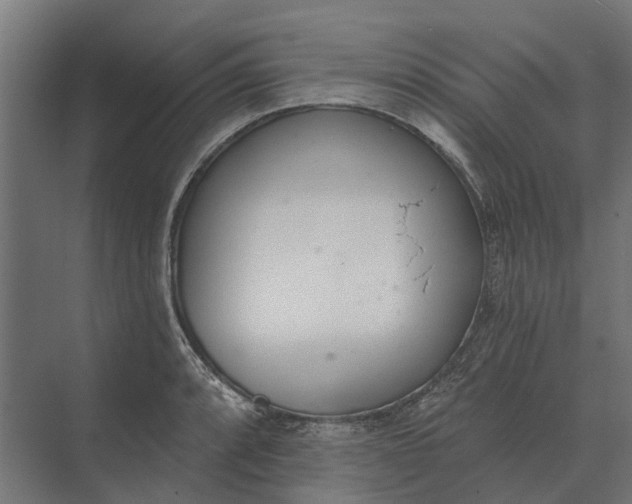 X0000073871088200608241128