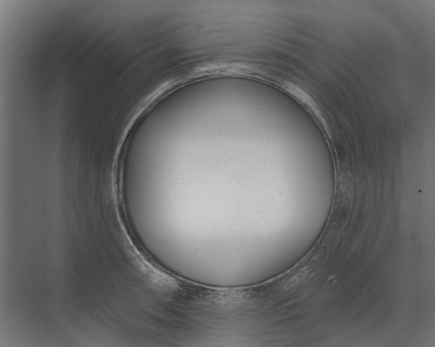 X0000073871090200608241128