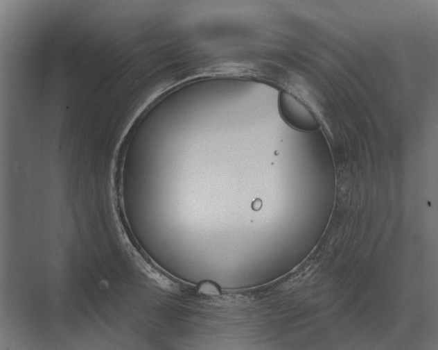 X0000073871091200608241128