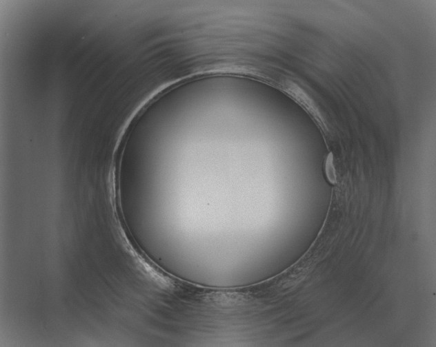 X0000073871092200608241128