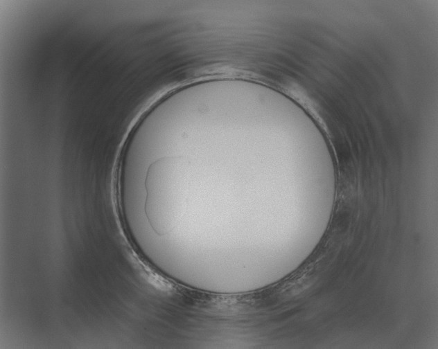 X0000073871098200608241128