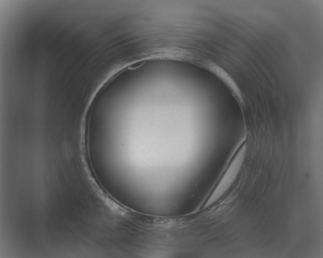 X0000073871099200608241128